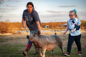 Two OBHC residents walking their pig