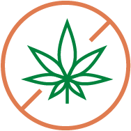 cannabis leaf in circle with strikethrough