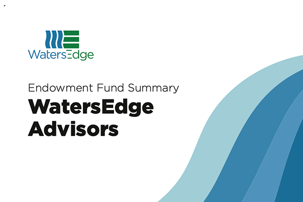 Endowment Fund preview